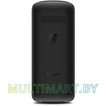 Мобильный телефон Philips Xenium E2101 (черный) картинка 2